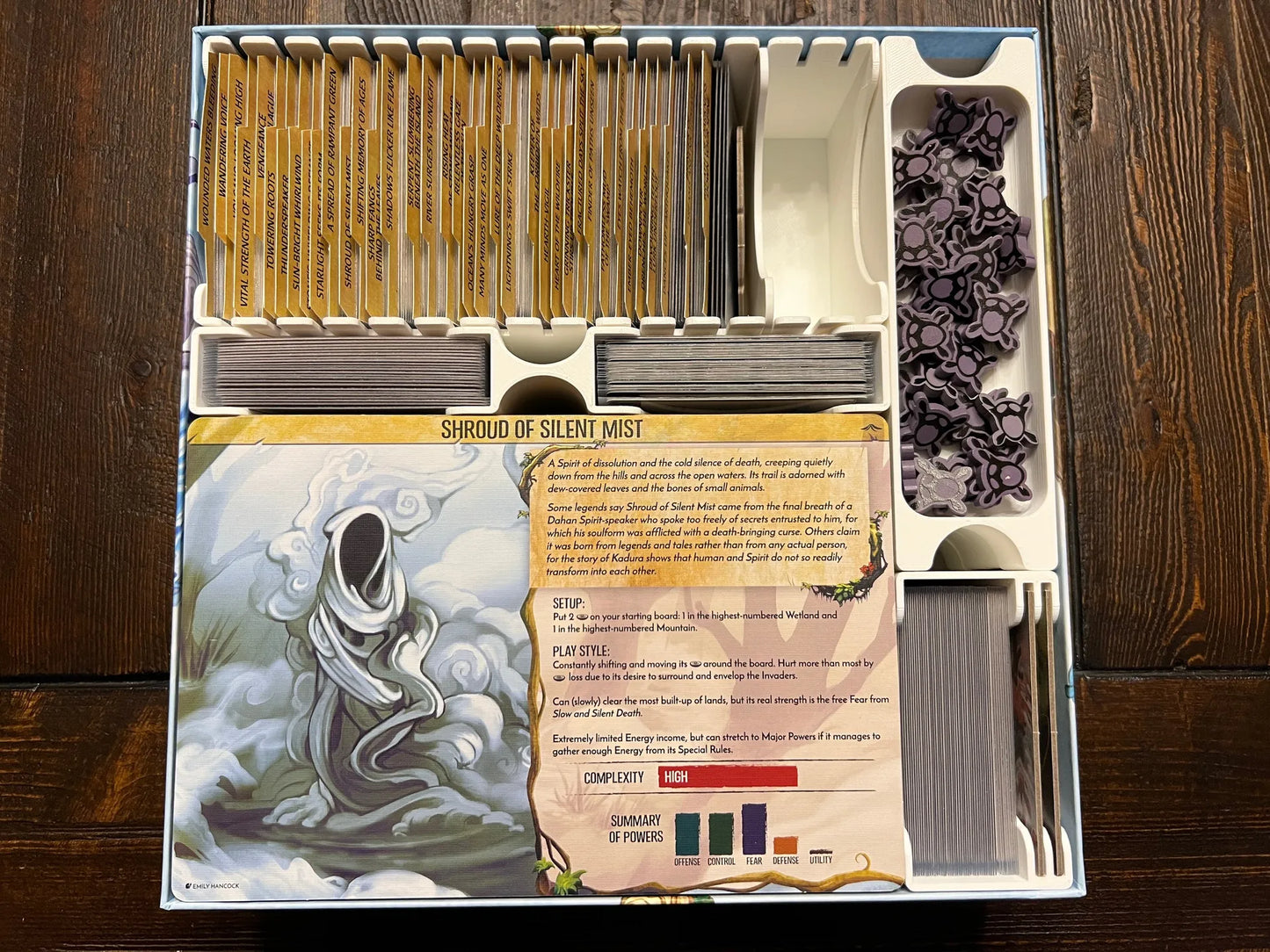 Board game organizer insert with sorted cards and tokens for efficient tabletop game storage